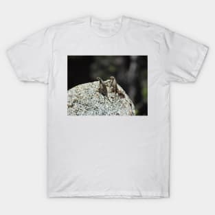 Wildlife gifts, reptiles, western fence lizard T-Shirt